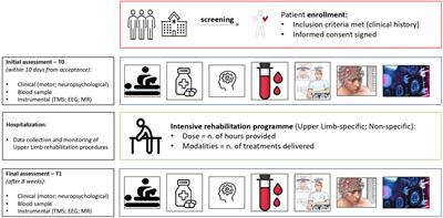Prediction of rehabilitation induced motor recovery after stroke using a multi-dimensional and multi-modal approach